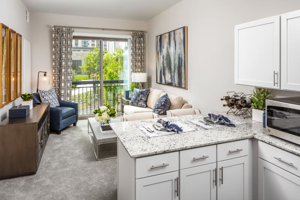 1 bedroom senior apartment living room at Aspired Living of La Grange in La Grange, Illinois