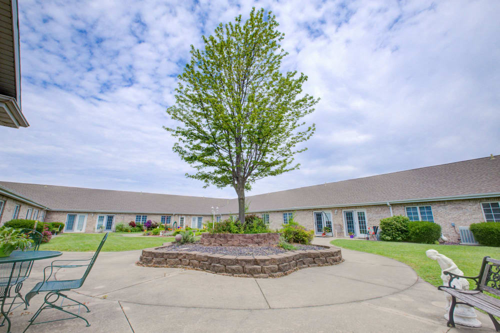 Big impressive tree in middle of courtyard at Brookstone Estates of Vandalia in Vandalia, Illinois