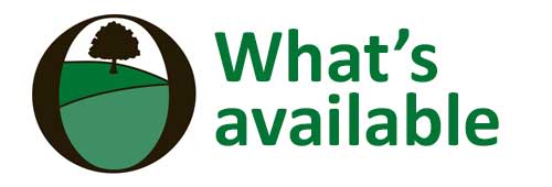 What's Available Icon