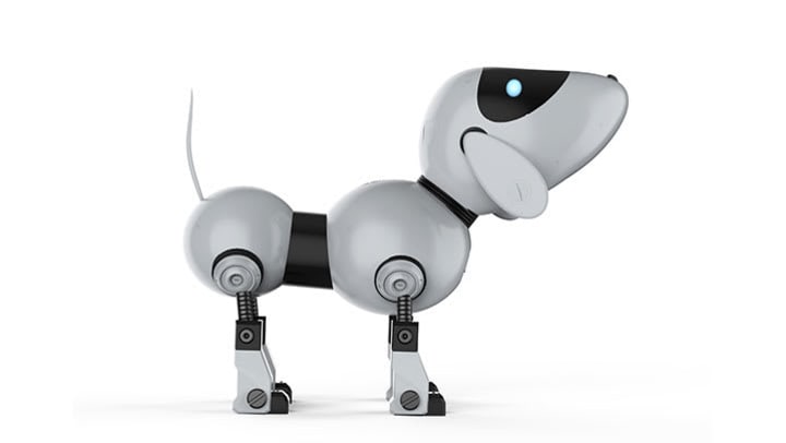 Robotic Dog
