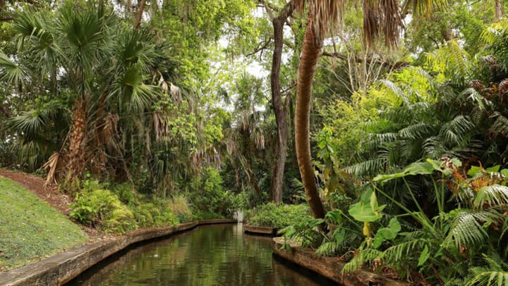 Peaceful-and-relaxing-nature-scene-in-orlando-florida