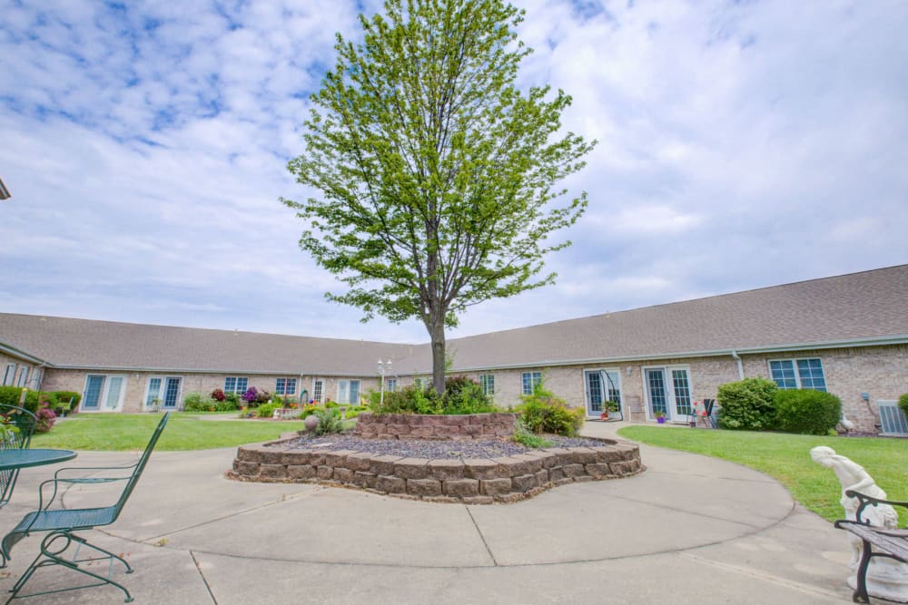 Sunny courtyard with large shady tree in the center at Brookstone Estates of Vandalia in Vandalia, Illinois